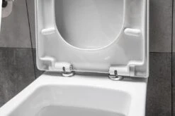 Aqualine Dona - Wc-zitting Soft Close, Wit FD121 -Duravit winkel 023d0f74b84428ac8d7f1747