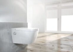 Ideal Standard ProSys - Toiletset- Inbouwreservoir, Douche-WC, WC-zitting TECEone, Oleas M2 Bedieningsplaat, Rimless, SoftClose, Chroom ProSys80M SP129 -Duravit winkel 326f46c22f84fddf09fe03d9 1