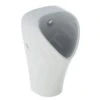 Geberit Urinoirs - Urinoir Narva, Achterinlaat, Wit 501.655.00.1 -Duravit winkel 48feed1a6daa5d7f88409641 1