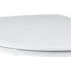 Grohe Essence - Softclose WC-zitting, Duroplast, Alpine Wit 39577000 -Duravit winkel ace1e93f04ce34fef40a58c4