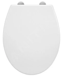 Sapho Darja - WC-zitting Softclose, Duroplast, Wit 1703-504 -Duravit winkel d5244bf36d743072c14945c1