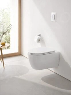 Grohe Essence - Softclose WC-zitting, Duroplast, Alpine Wit 39577000 -Duravit winkel d8f44a93b1ac08ca981d0590
